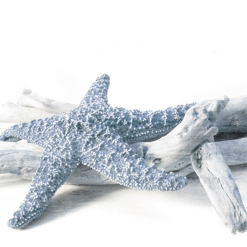 Starfish Beach 4 V3 art print by Kimberly Allen for $57.95 CAD