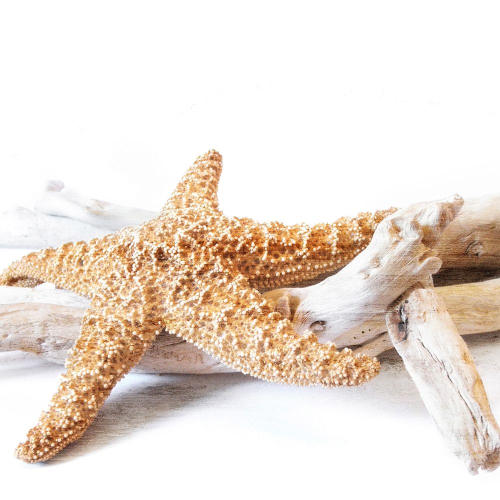 Starfish Beach 4 v2 art print by Kimberly Allen for $57.95 CAD