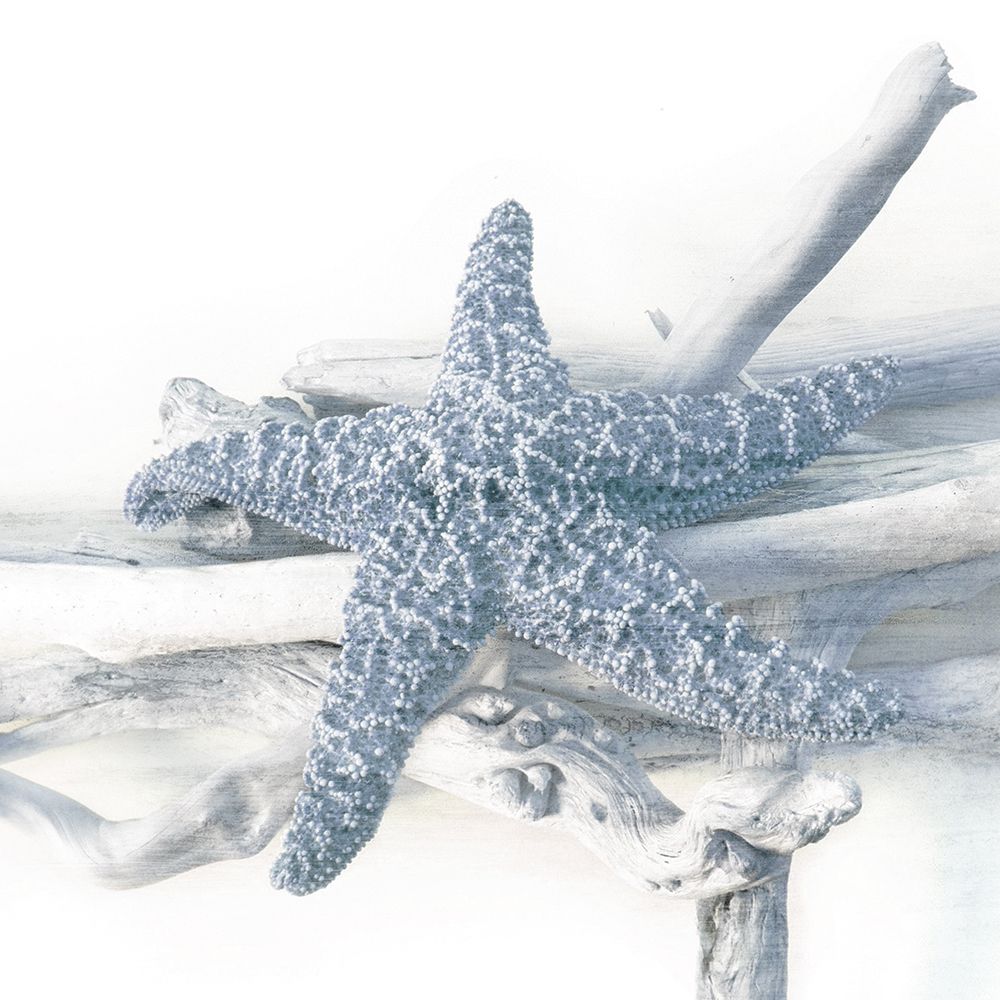 Starfish Beach 5 V3 art print by Kimberly Allen for $57.95 CAD