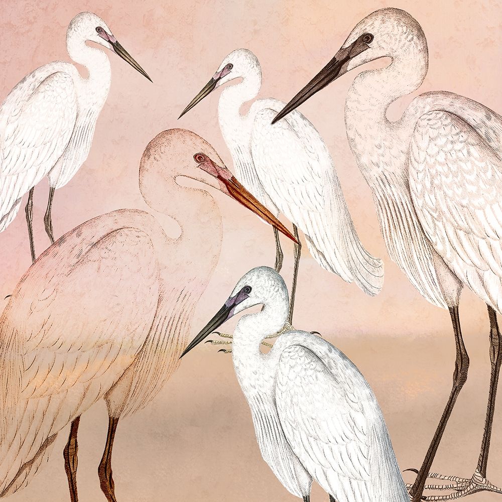 Cranes in Pink art print by Kimberly Allen for $57.95 CAD