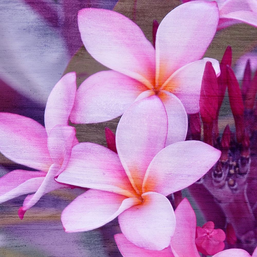 Beach Daze 4 art print by Kimberly Allen for $57.95 CAD
