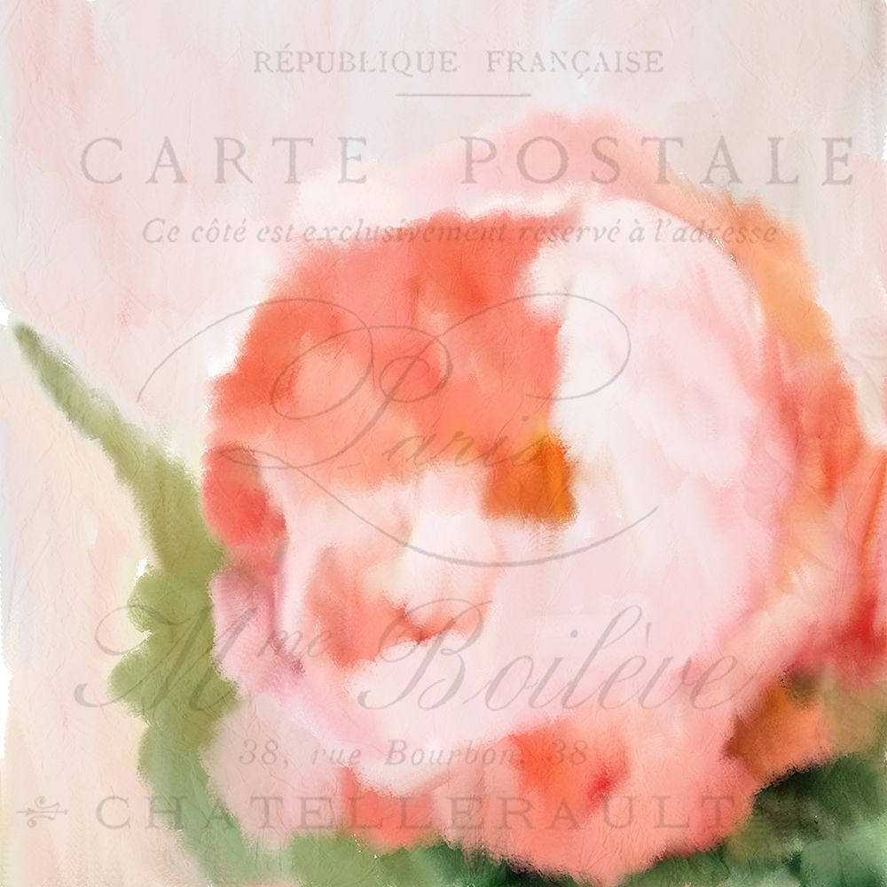 Pink Peony art print by Kimberly Allen for $57.95 CAD