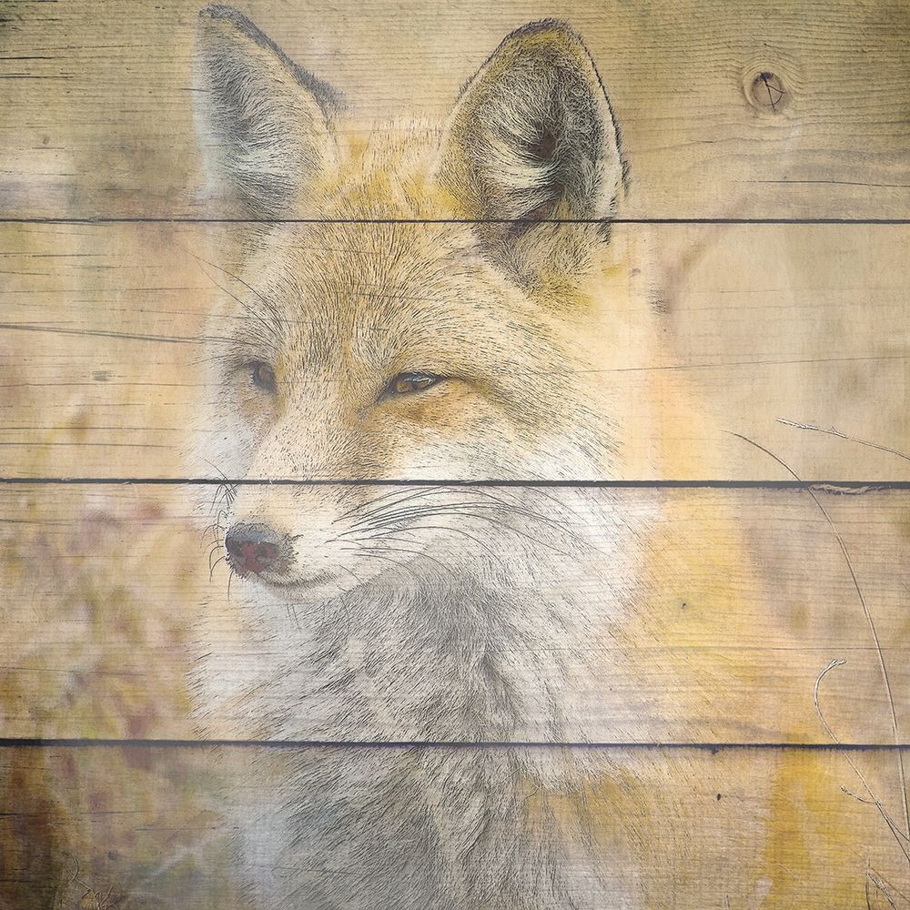 Woodland 2 art print by Kimberly Allen for $57.95 CAD