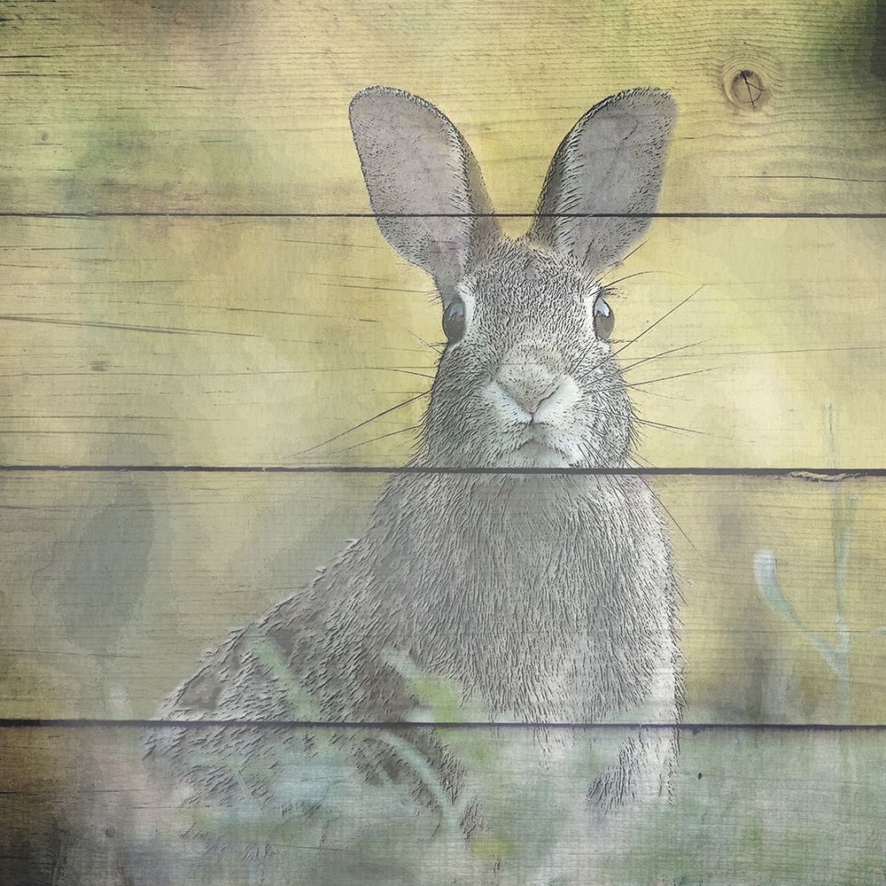 Woodland 3 art print by Kimberly Allen for $57.95 CAD