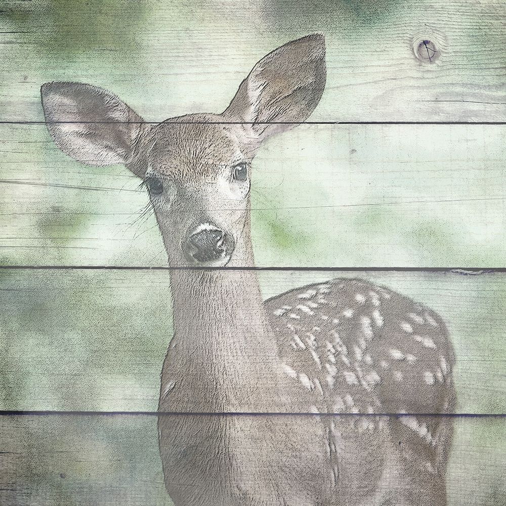 Woodland 4 art print by Kimberly Allen for $57.95 CAD