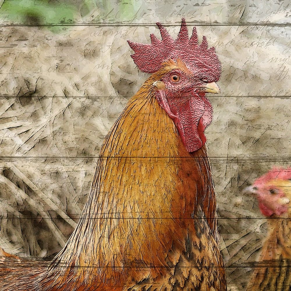 Farm Life 5 art print by Kimberly Allen for $57.95 CAD