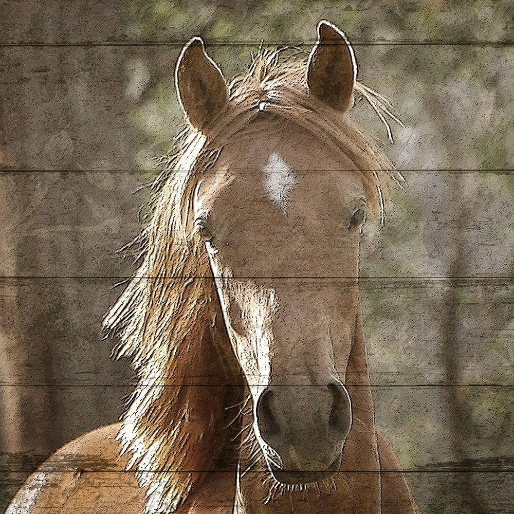 Farm Life 6 art print by Kimberly Allen for $57.95 CAD