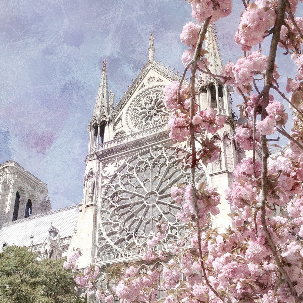 Paris in Bloom 3 art print by Kimberly Allen for $57.95 CAD