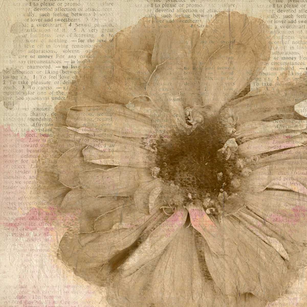 Newspaper Floral 1 art print by Kimberly Allen for $57.95 CAD