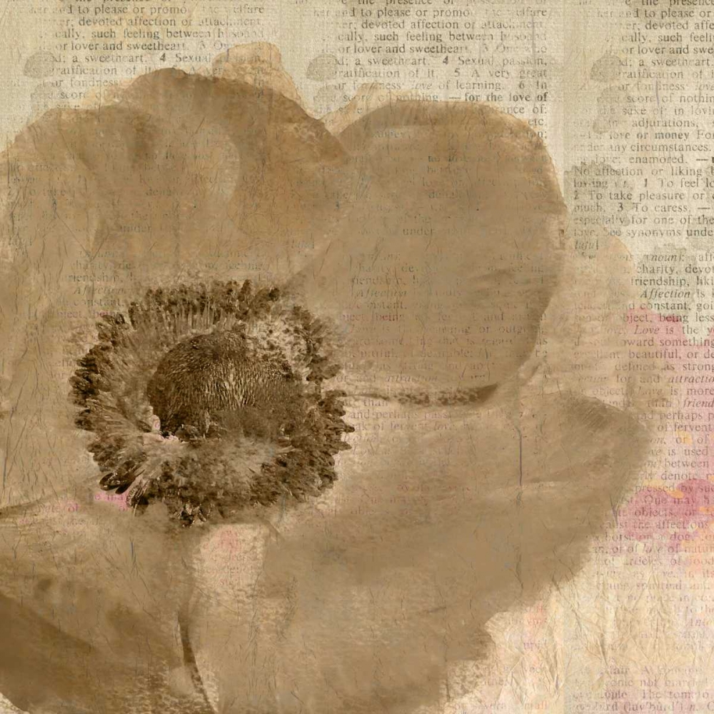 Newspaper Floral 2 art print by Kimberly Allen for $57.95 CAD