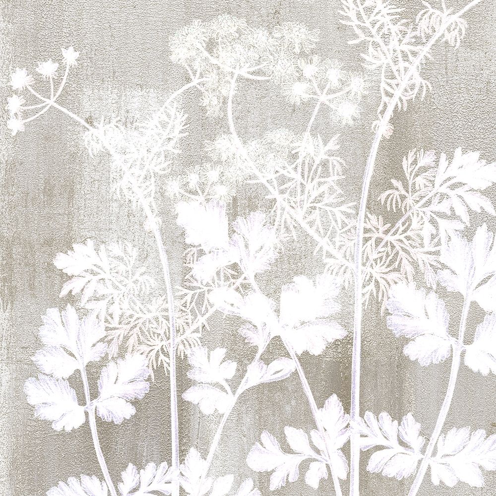 Neutral Botanical Square 2 art print by Kimberly Allen for $57.95 CAD