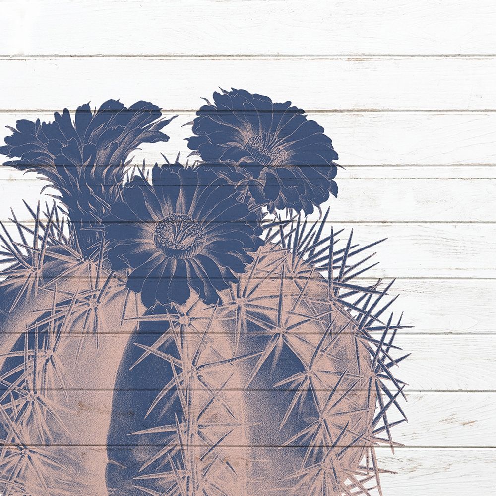 Desert Flower 1 art print by Kimberly Allen for $57.95 CAD