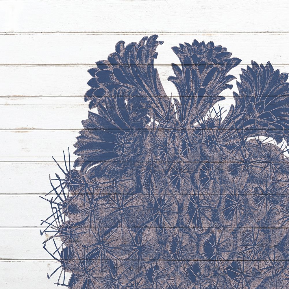 Desert Flower 2 art print by Kimberly Allen for $57.95 CAD