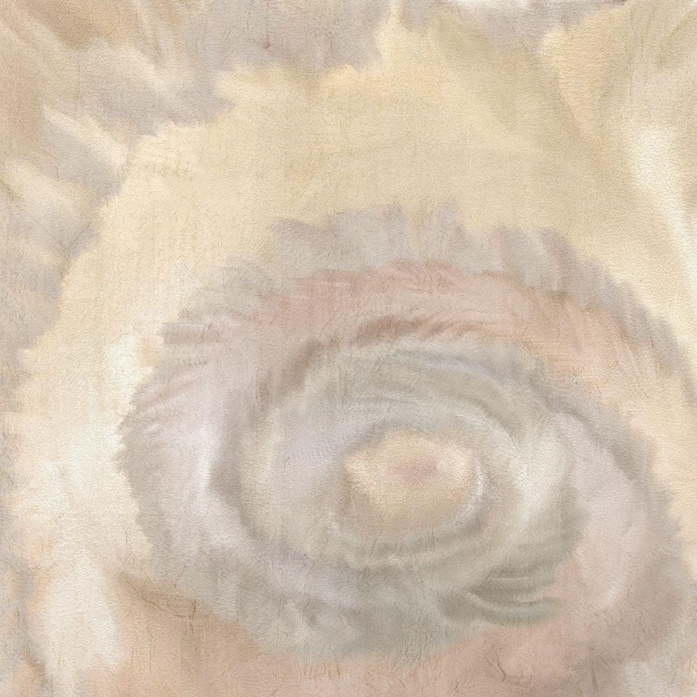 Neutral Swirl art print by Kimberly Allen for $57.95 CAD