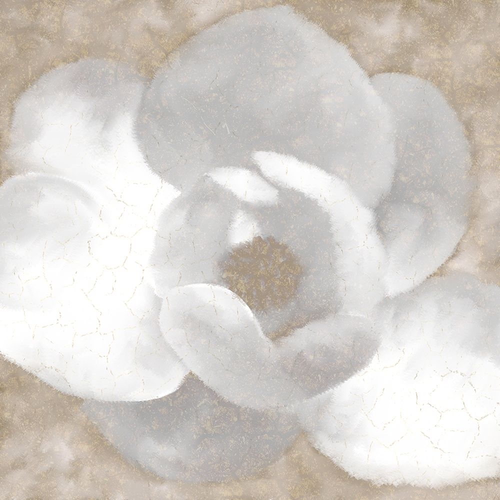 Magnolia Center 1 art print by Kimberly Allen for $57.95 CAD