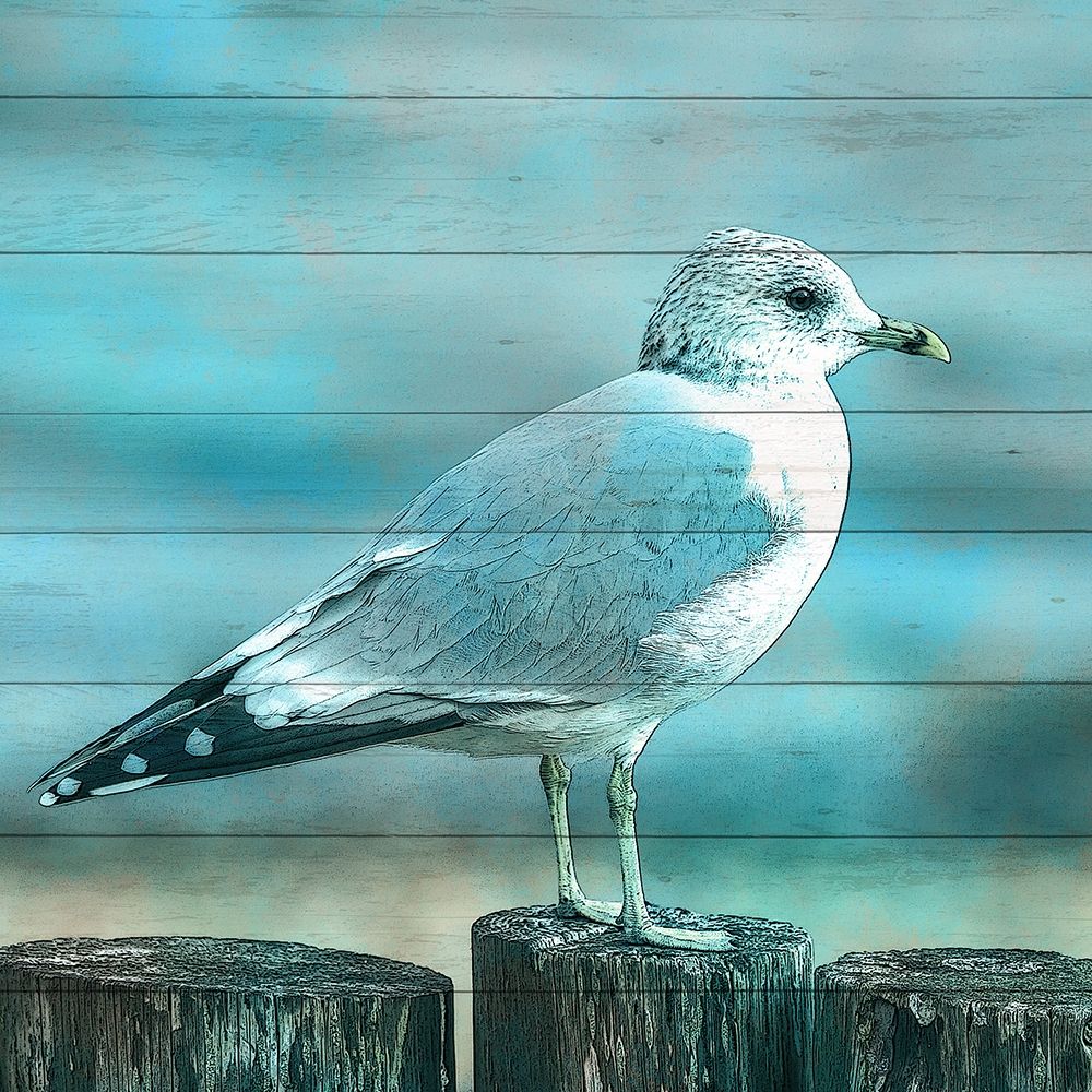 Coastal Life 5 art print by Kimberly Allen for $57.95 CAD