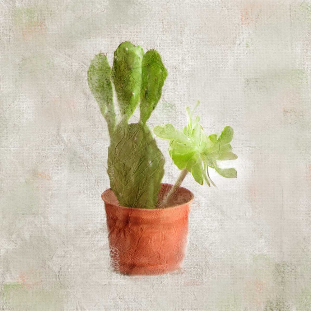 Potted Life 3 art print by Kimberly Allen for $57.95 CAD