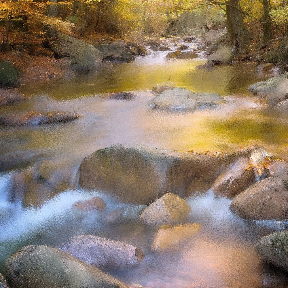 River Run art print by Kimberly Allen for $57.95 CAD