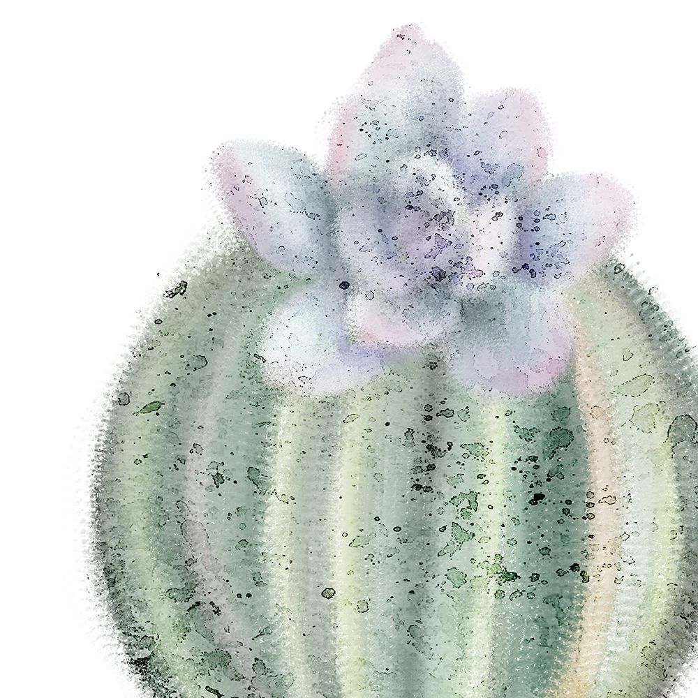 Succulent Speckled 2 art print by Kimberly Allen for $57.95 CAD