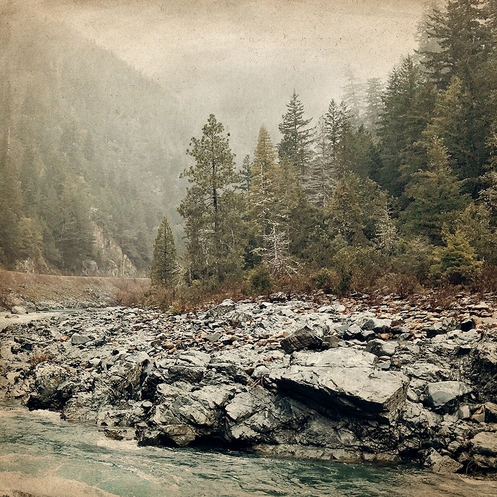 Wander Forest art print by Kimberly Allen for $57.95 CAD