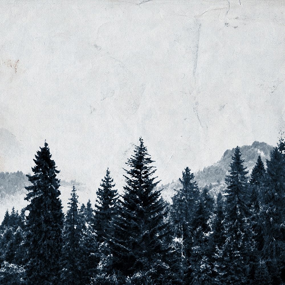 Wander Woods art print by Kimberly Allen for $57.95 CAD