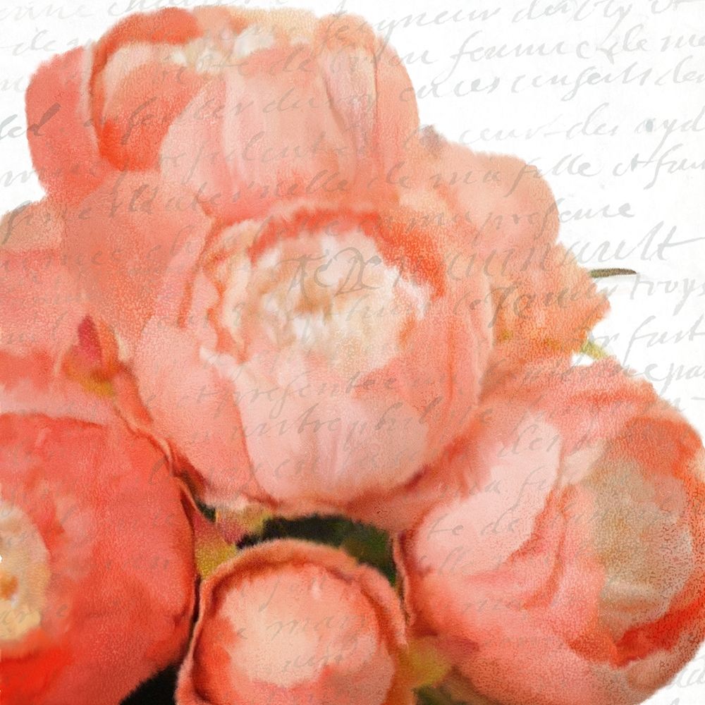 Peony Bunch art print by Kimberly Allen for $57.95 CAD