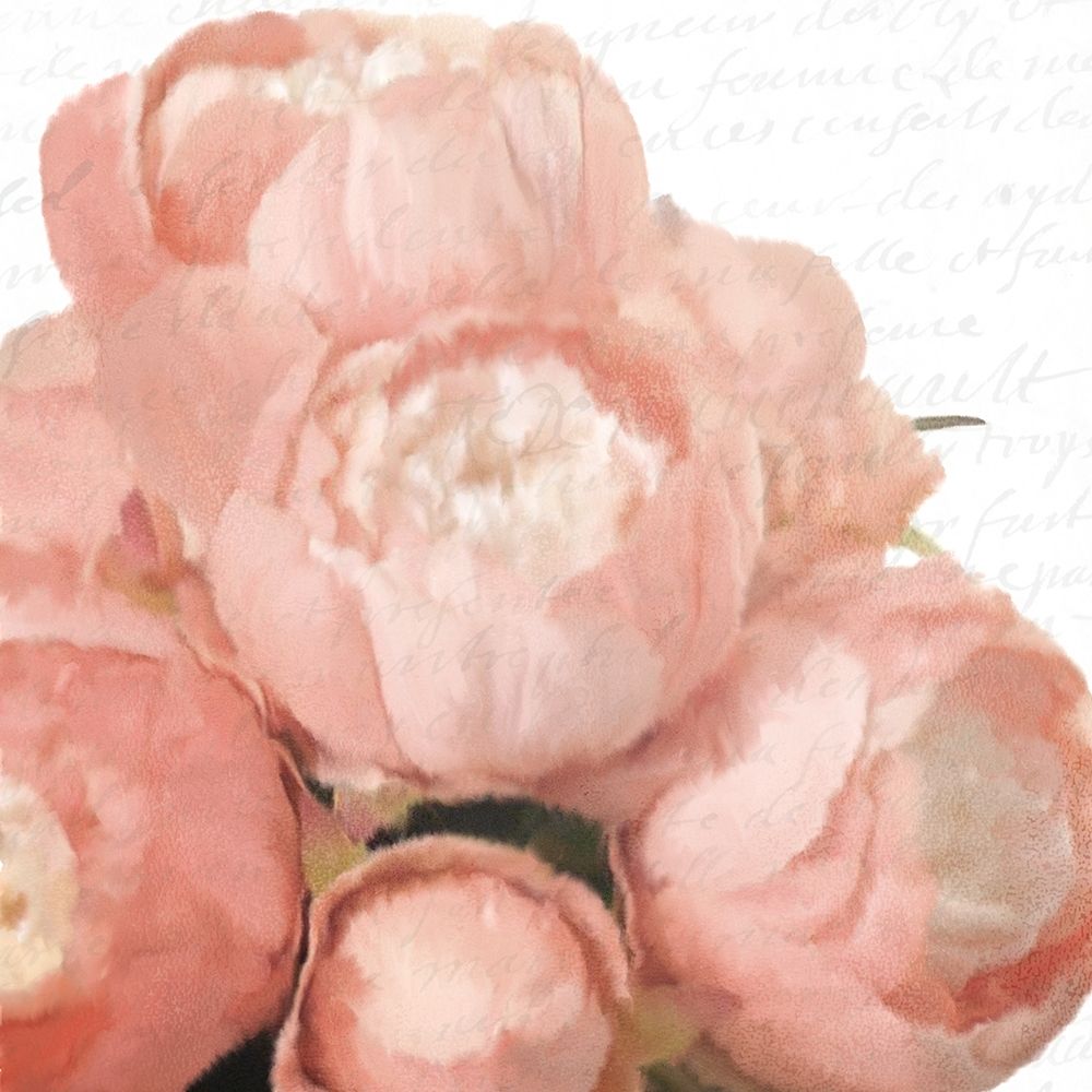 Soft Pink Peony Bunch art print by Kimberly Allen for $57.95 CAD