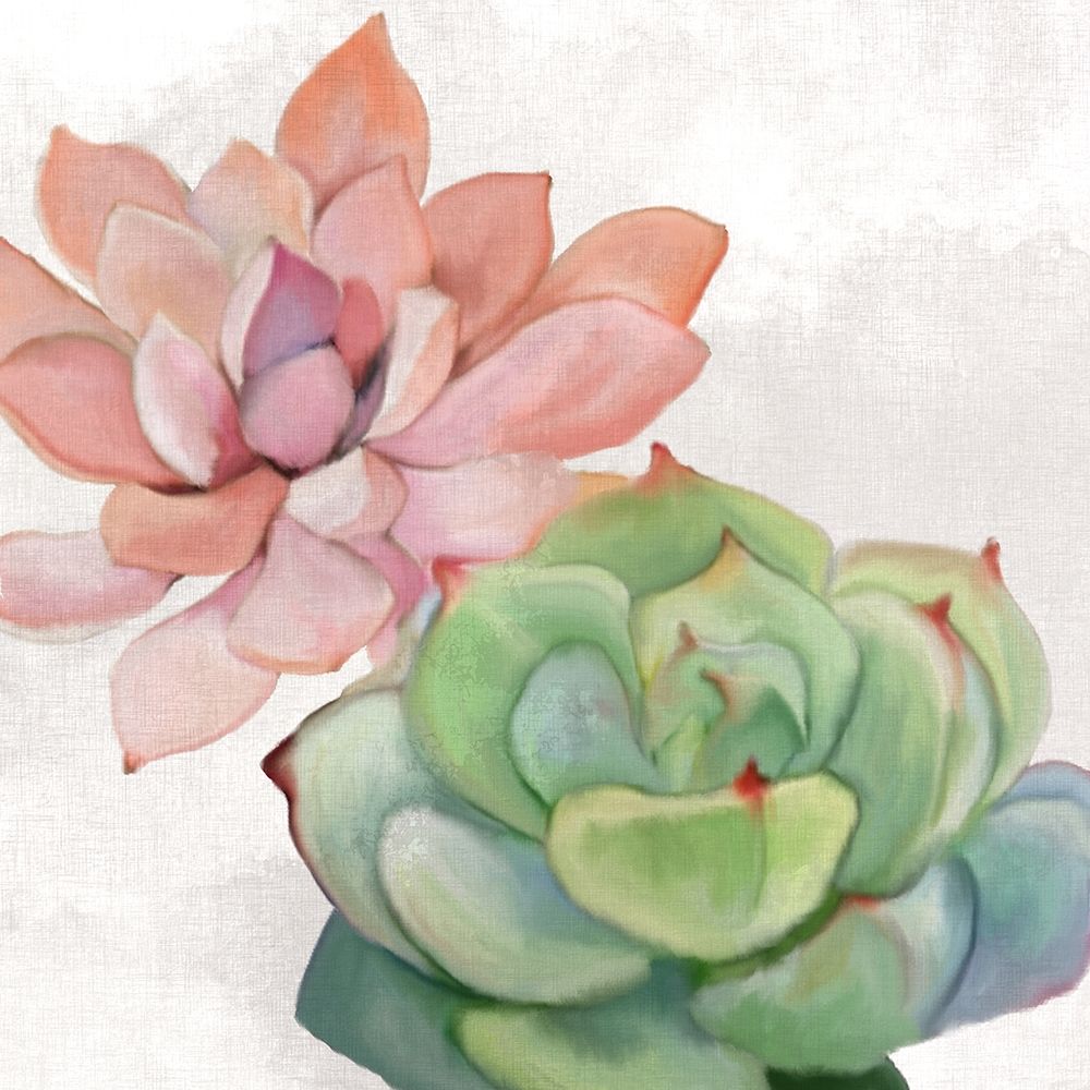Succulent Summer 1 art print by Kimberly Allen for $57.95 CAD