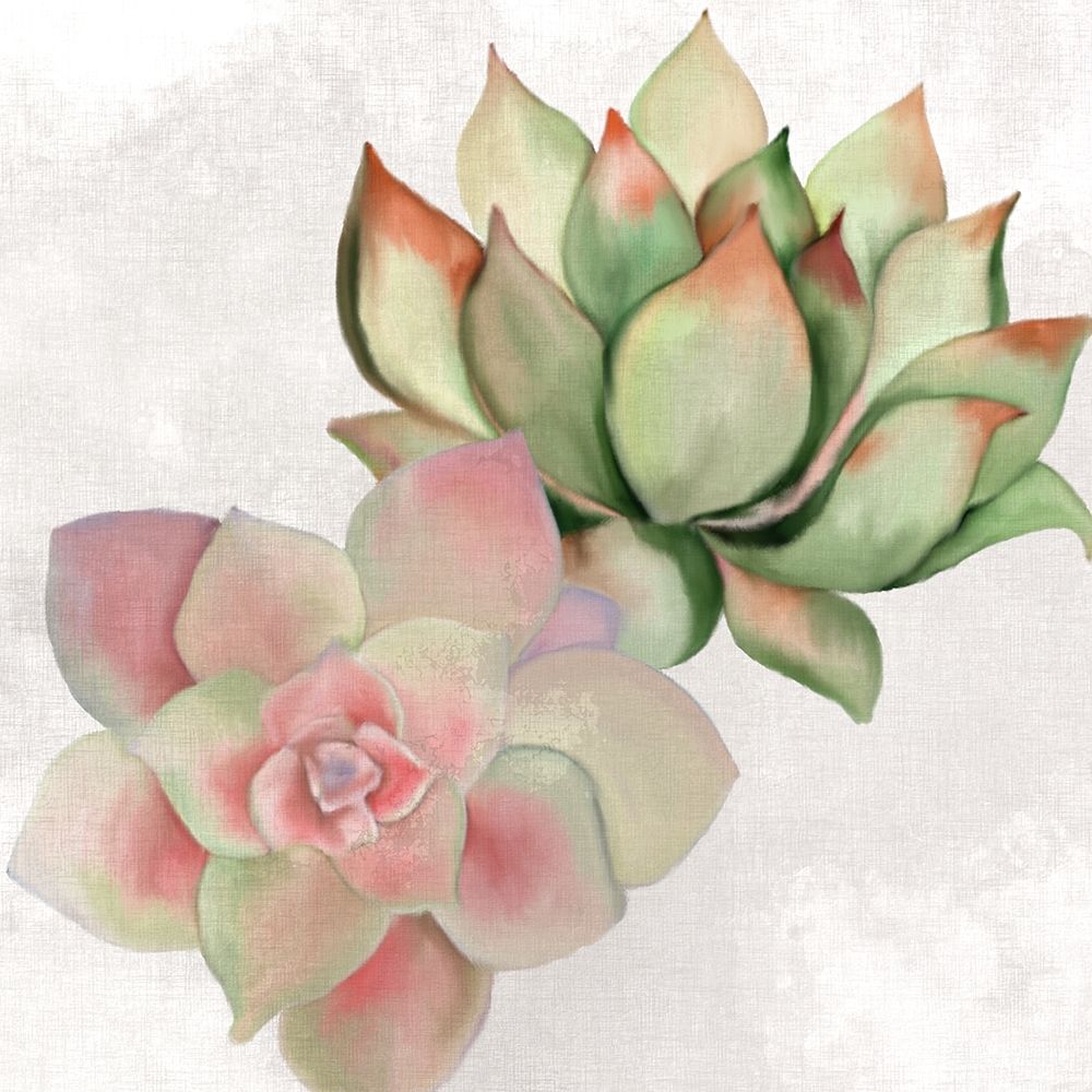 Succulent Summer 2 art print by Kimberly Allen for $57.95 CAD