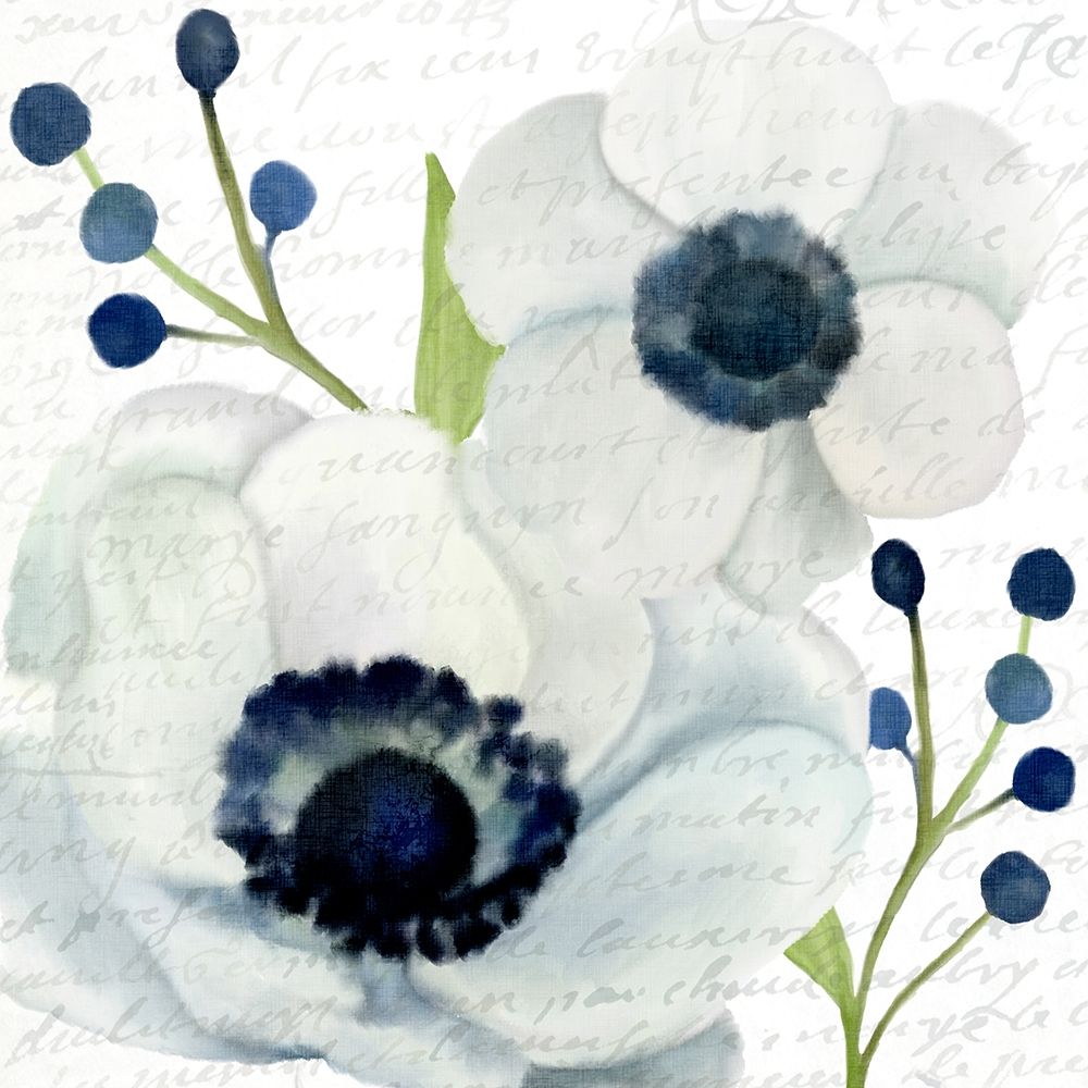 Anemone Square 1 art print by Kimberly Allen for $57.95 CAD