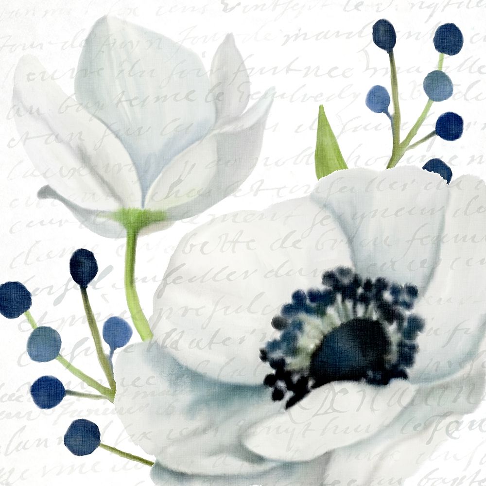 Anemone Square 2 art print by Kimberly Allen for $57.95 CAD