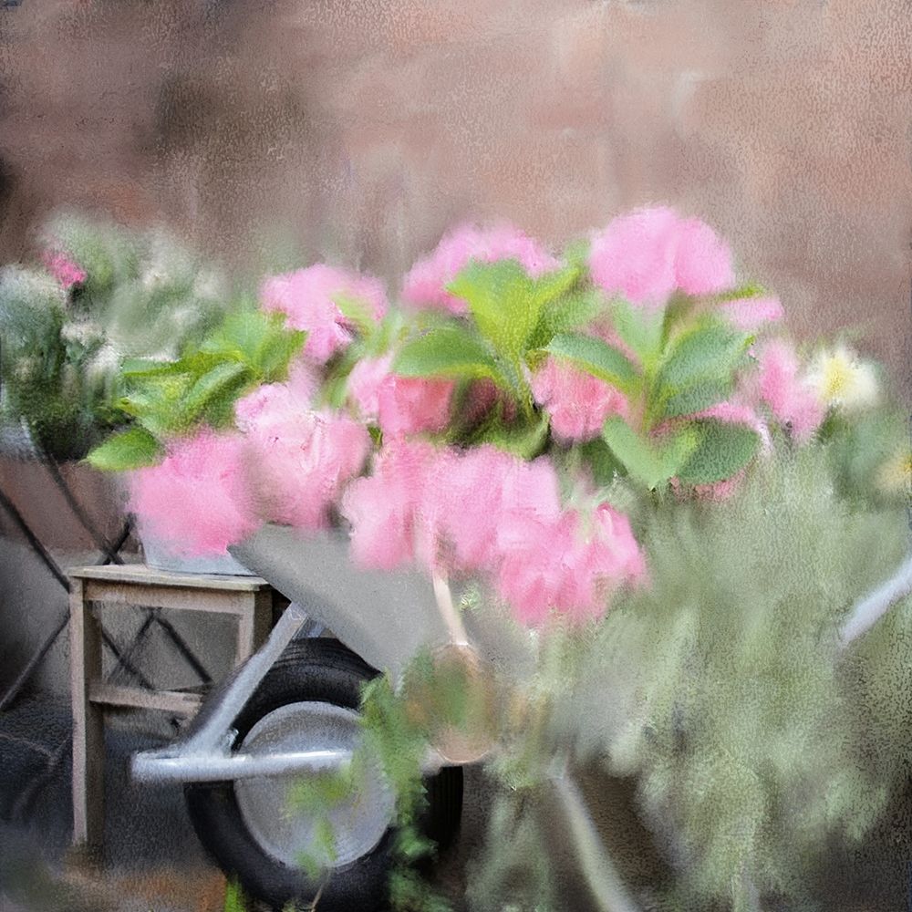 In The Garden art print by Kimberly Allen for $57.95 CAD
