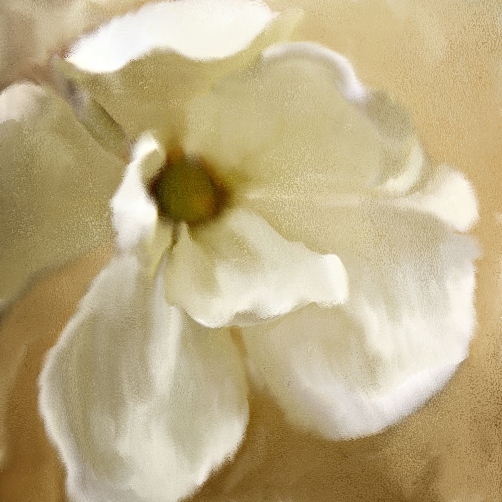 Magnolia Bloom art print by Kimberly Allen for $57.95 CAD