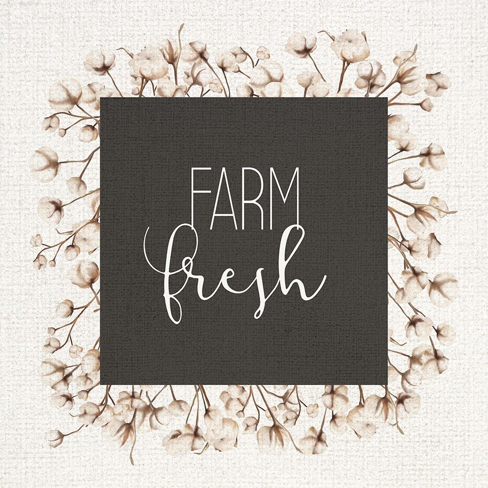 Farm Fresh Cotton art print by Kimberly Allen for $57.95 CAD