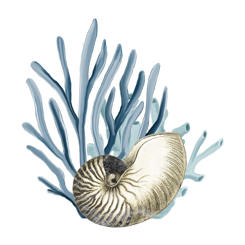 Coastal Coral 2 art print by Kimberly Allen for $57.95 CAD