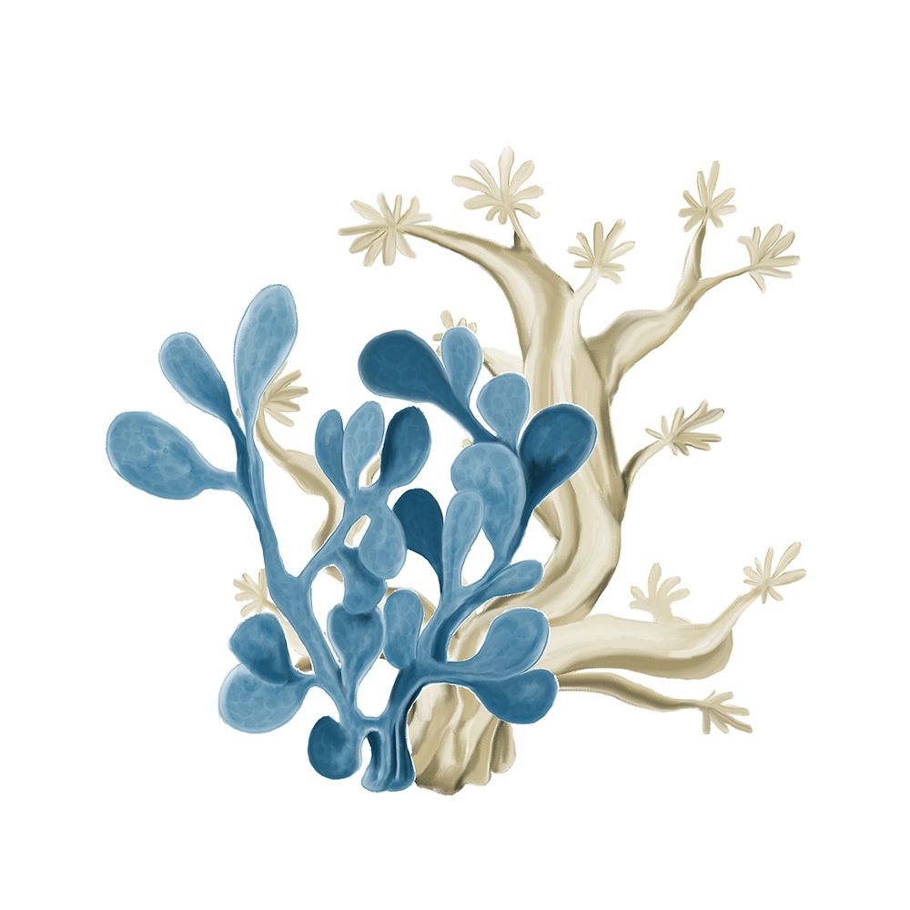Coastal Coral 3 art print by Kimberly Allen for $57.95 CAD