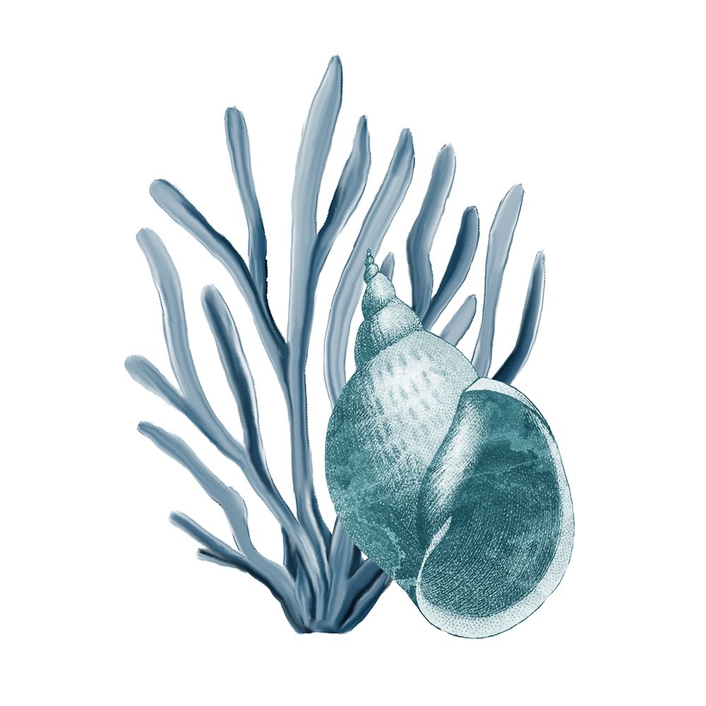 Coastal Coral 4 art print by Kimberly Allen for $57.95 CAD