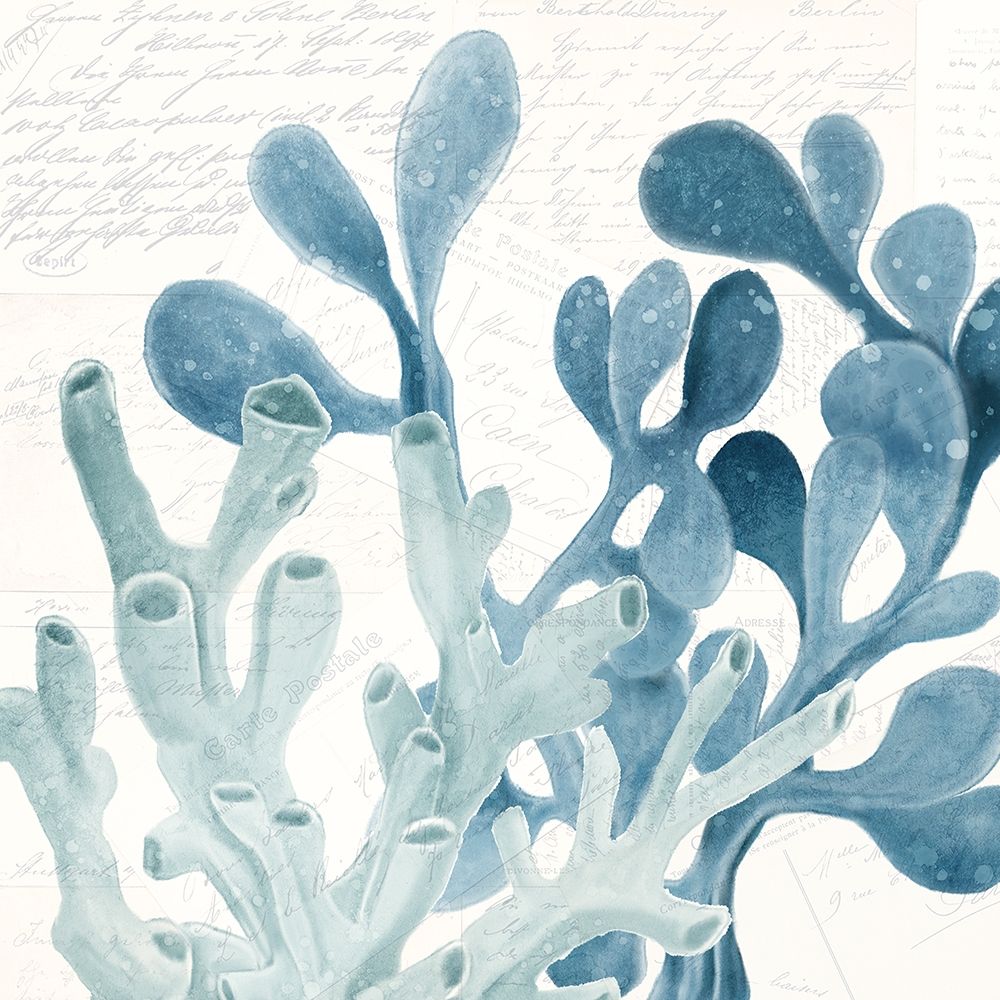 Coral Square 2 art print by Kimberly Allen for $57.95 CAD