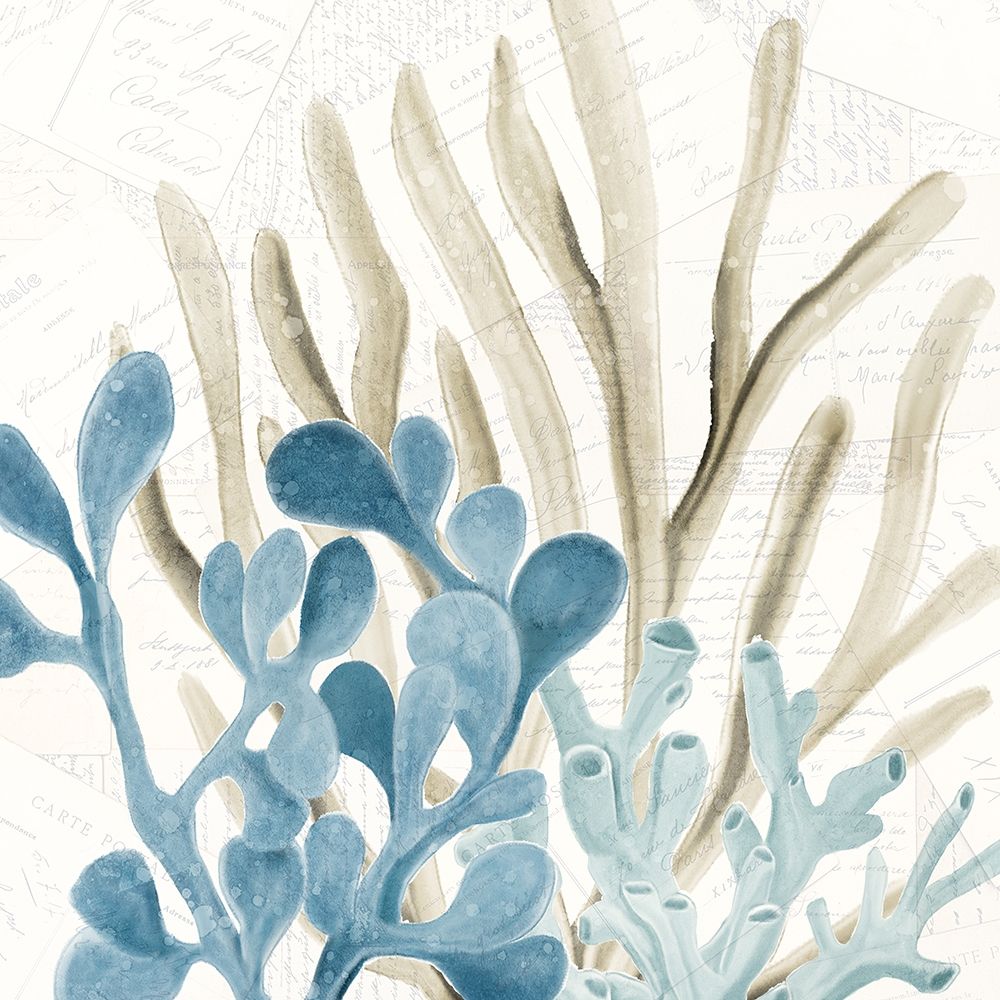 Coral Square 3 art print by Kimberly Allen for $57.95 CAD