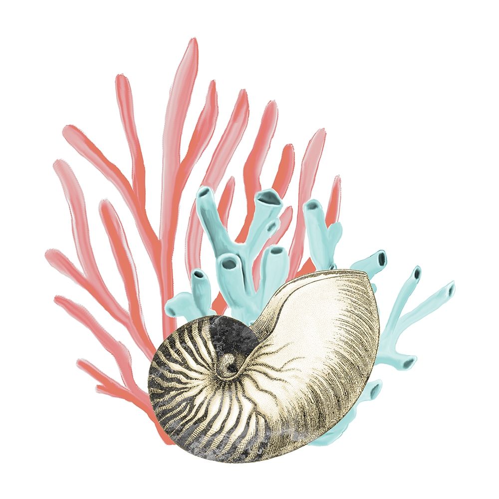 Coral Coastal 2 art print by Kimberly Allen for $57.95 CAD