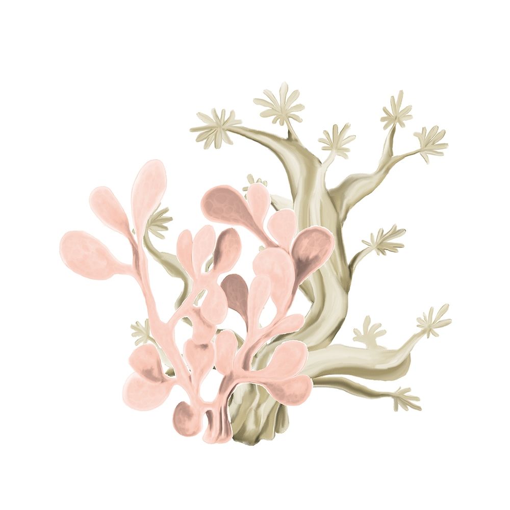Coral Coastal 3 art print by Kimberly Allen for $57.95 CAD