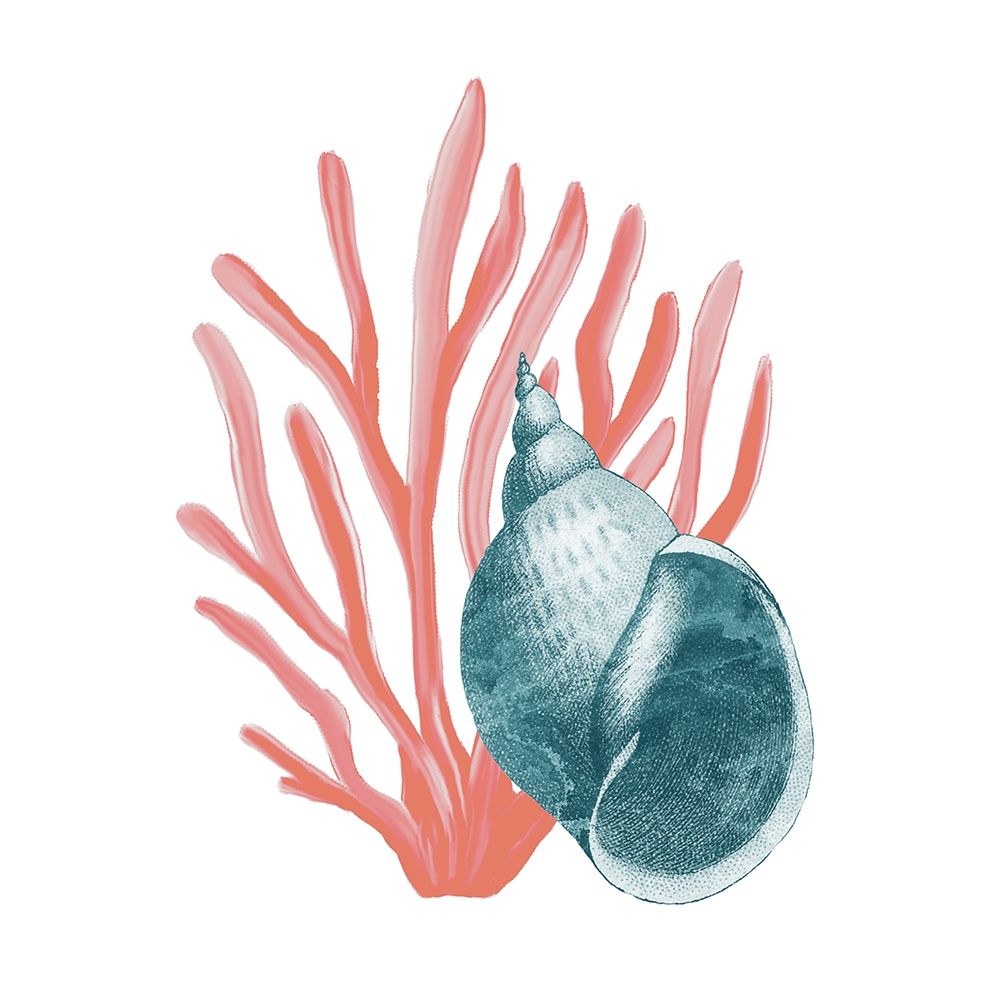 Coral Coastal 4 art print by Kimberly Allen for $57.95 CAD