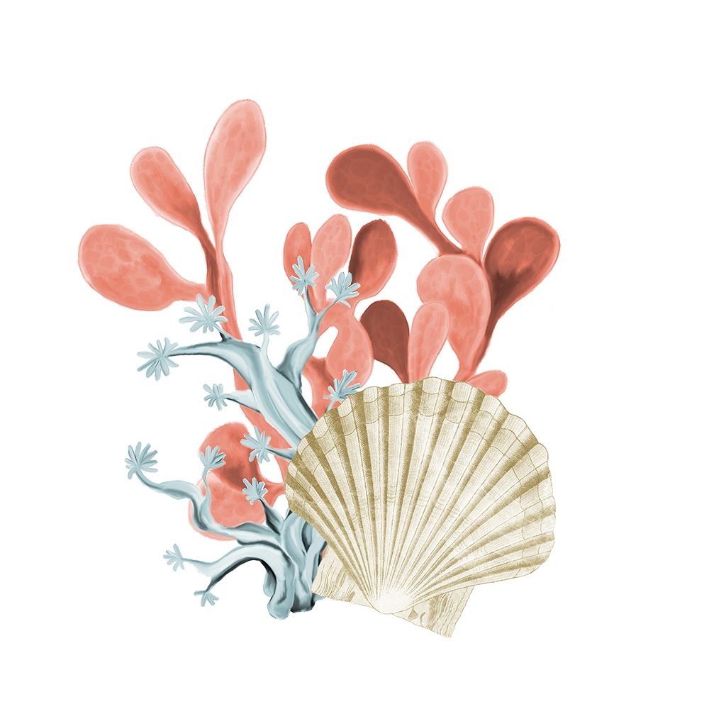 Coral Coastal 5 art print by Kimberly Allen for $57.95 CAD