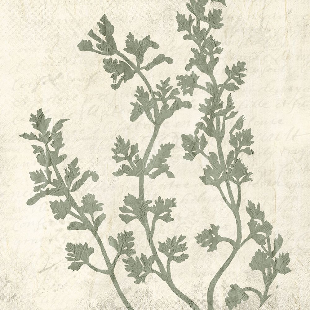 Sage 1 art print by Kimberly Allen for $57.95 CAD