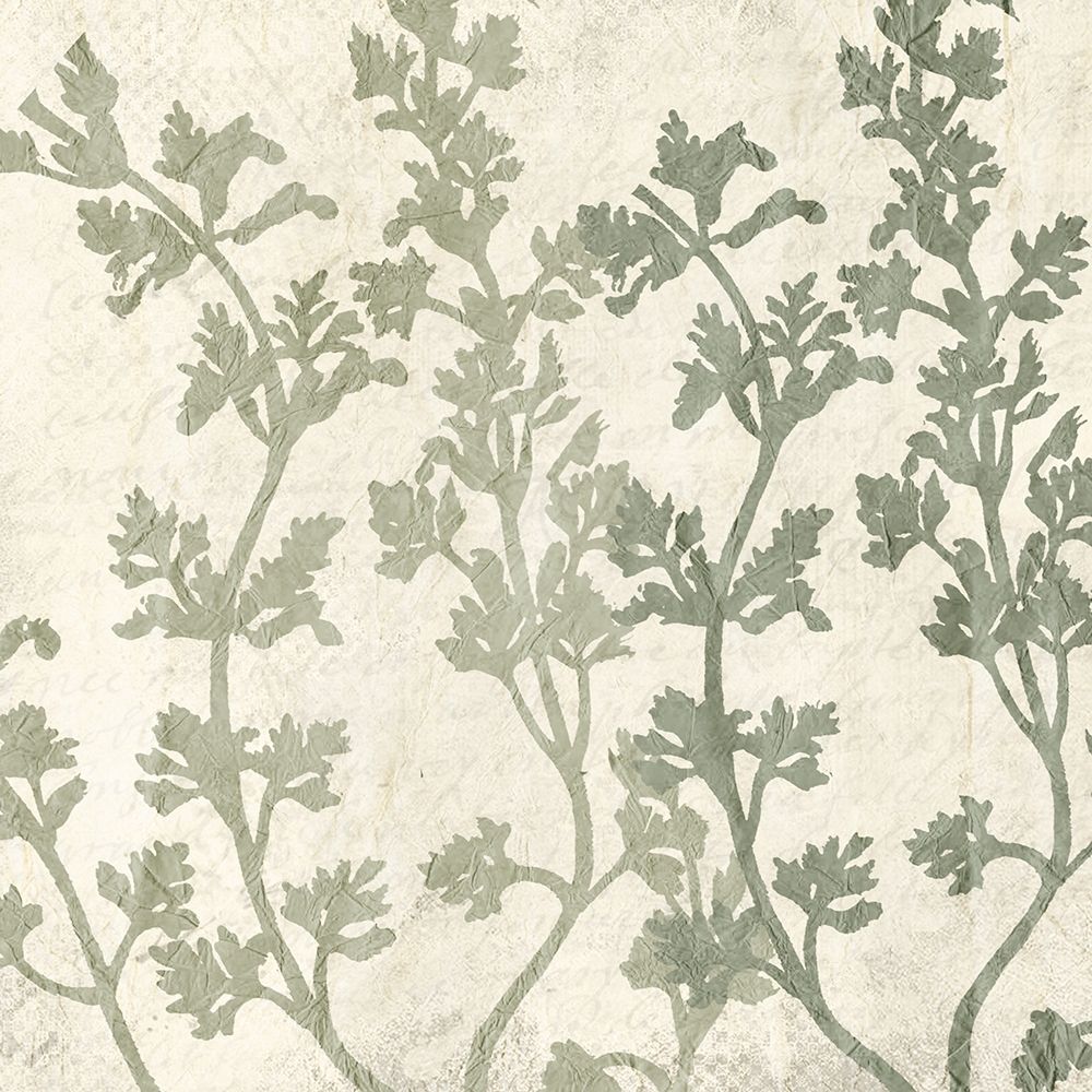 Sage 2 art print by Kimberly Allen for $57.95 CAD
