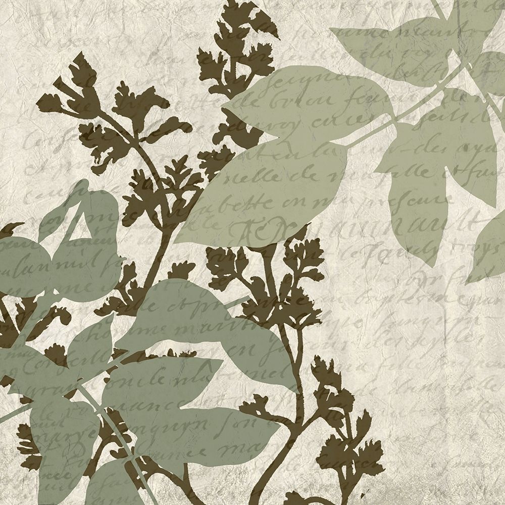 Sage 4 art print by Kimberly Allen for $57.95 CAD