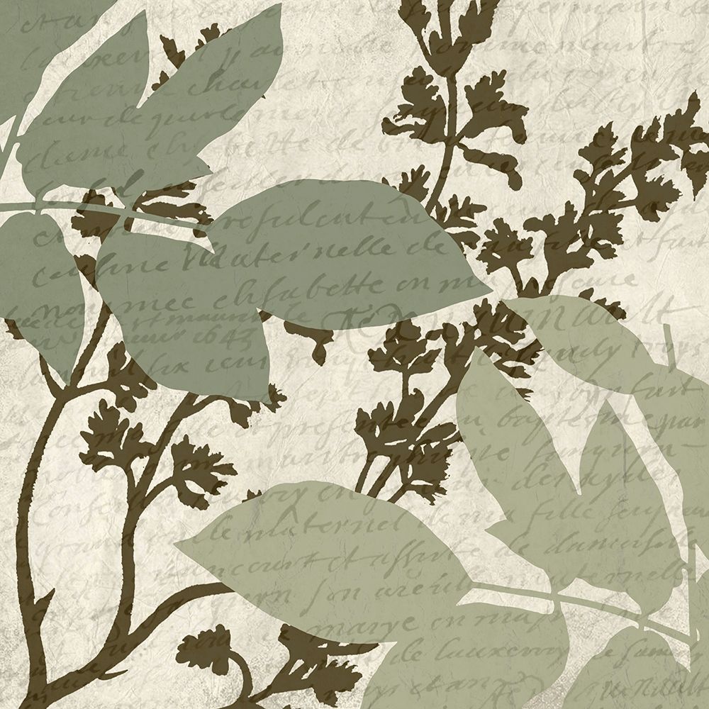 Sage 5 art print by Kimberly Allen for $57.95 CAD