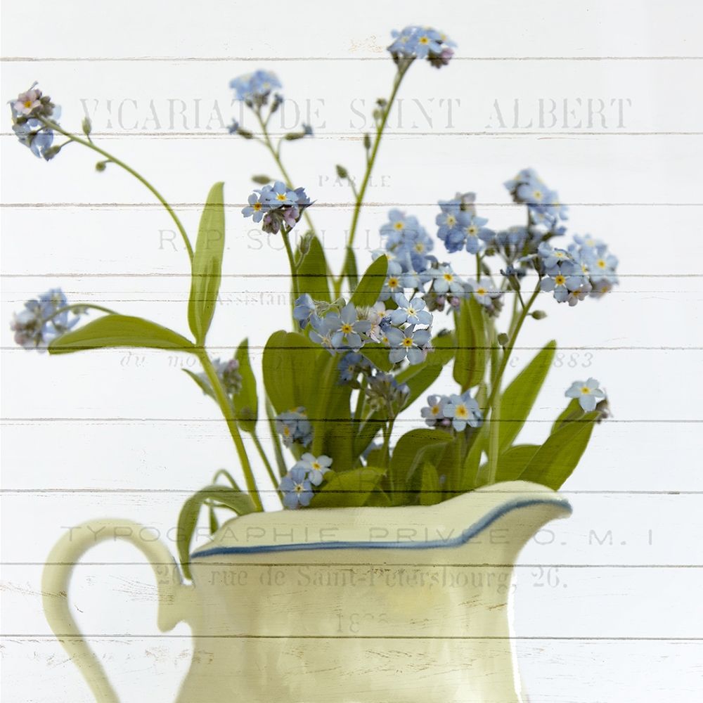 Forget ME Not art print by Kimberly Allen for $57.95 CAD
