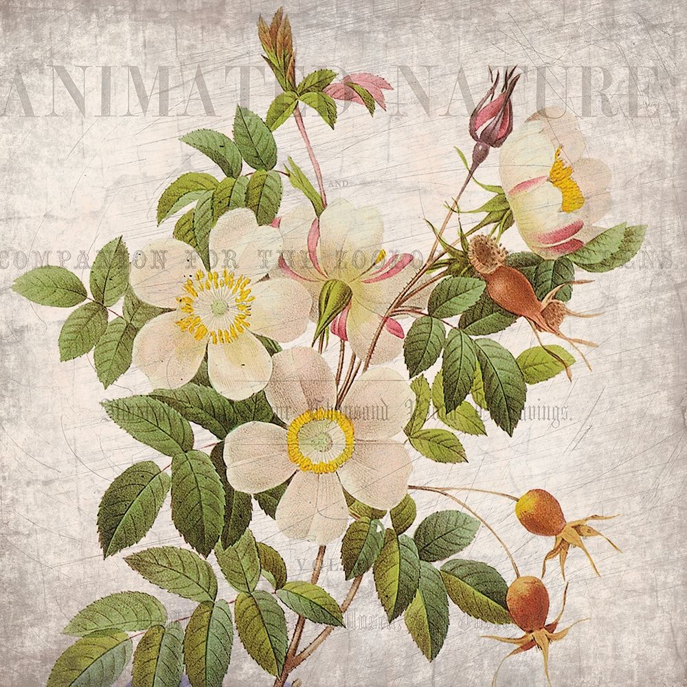 Vintage Floral 1 art print by Kimberly Allen for $57.95 CAD