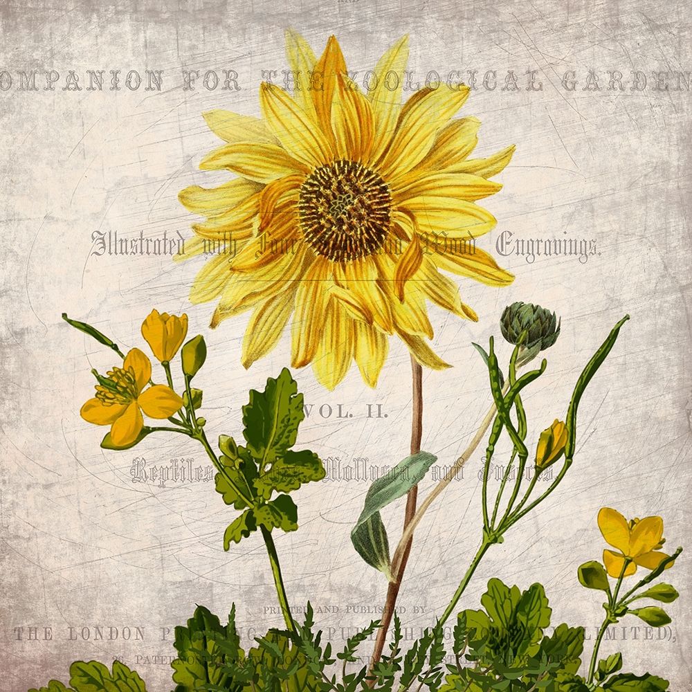Vintage Floral 2 art print by Kimberly Allen for $57.95 CAD
